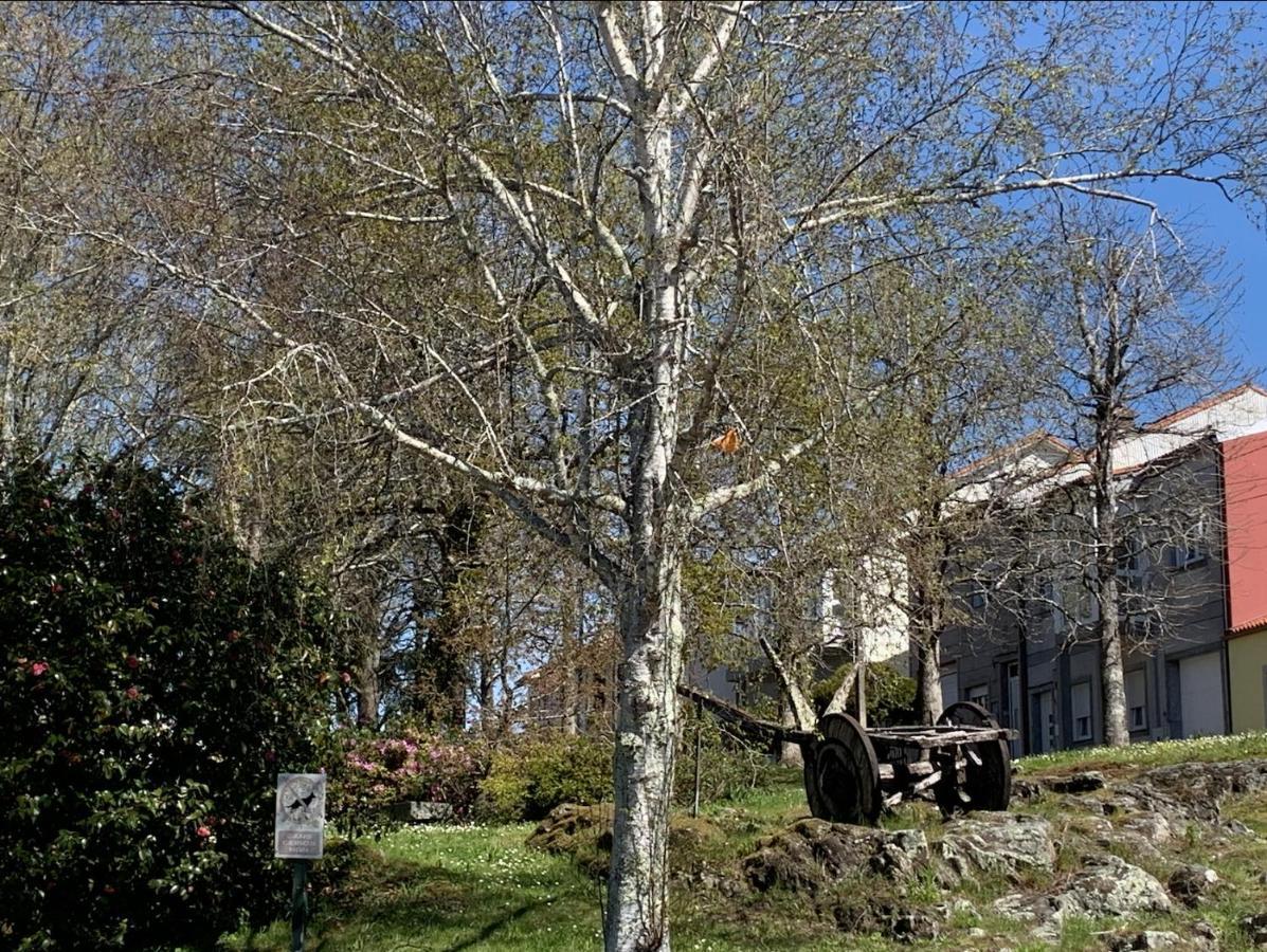 Campo De Estrellas Apartment Santiago de Compostela Bagian luar foto